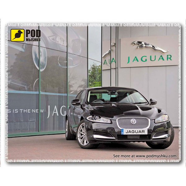 Килимок PODMЫSHKU Jaguar