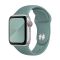 Ремешок для Apple Watch 38mm/40mm Silicone Watch Band Cactus
