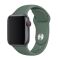 Ремінець для Apple Watch 38mm/40mm Silicone Watch Band Pine Green
