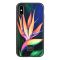 Чохол WK Case WPC-107 для iPhone XS Max Jungle (CL15936)