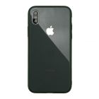 Чехол накладка Glass TPU Case для iPhone XS Max Pine Green