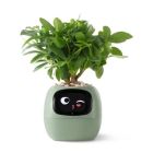 Інтерактивний розумний горщик для рослин Ivy Smart Planter Tuya AI Green