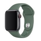 Ремінець для Apple Watch 42mm/44mm Silicone Watch Band Pine Green