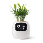 Інтерактивний розумний горщик для рослин Ivy Smart Planter Tuya AI White