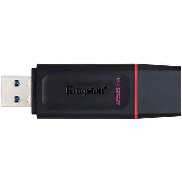 Флешка Kingston 256 GB DataTraveler Exodia Black/Pink (DTX/256GB)
